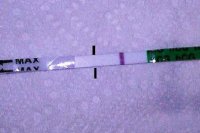 8dpo am with flash 2.JPG