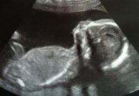 scan2011111.jpg