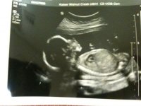 20 week 001.jpg