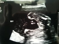 20 week 002.jpg