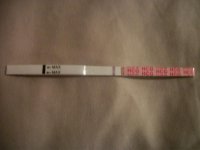 pictures june 12 012.jpg