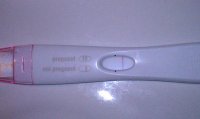 10dpo untweaked.jpg