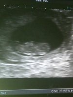 IMG-20120704-00956.jpg