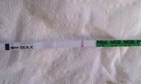 10dpo 8pm untweaked 2 resized.jpg