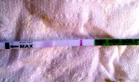 10dpo 8pm tweaked 2 resized.jpg