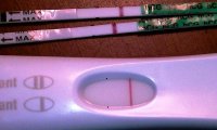11dpo resized.jpg