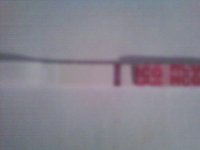 0705121311.jpg