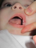 IMG_1788.jpg
