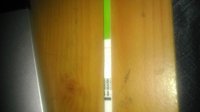 IMAG0934.jpg