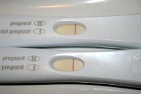 FRER old.jpg
