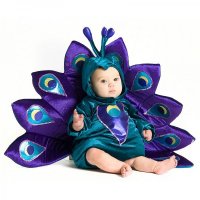 Baby peacock.jpg