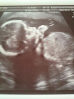 19+6 scan .jpg
