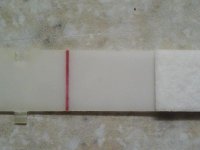 IMG_20120711_120406.jpg