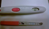 OPK+ CD16.jpg