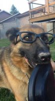 zena looking nerdy.jpg