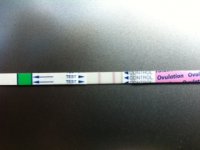 OPK 071212 12pm.JPG