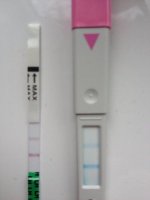 2569b868.jpg