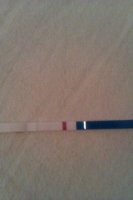 IMAG0463.jpg