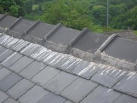 roof 015.jpg