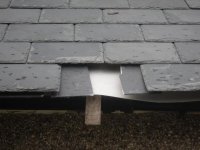 roof 034.jpg