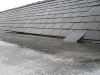 roof 060.jpg
