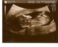 scan0003.jpg