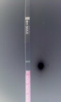 IMAG1209.jpg