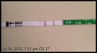 pos opk cd17.jpg