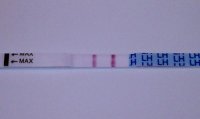 7.18.12 9.30pm opk resized.jpg