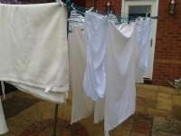 washing.jpg