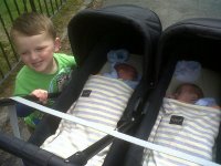 IMG01866-20120624-1428.jpg