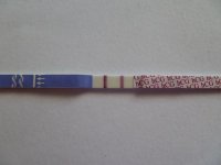 a437f819.jpg