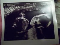 Baby PirateNinja 002.jpg