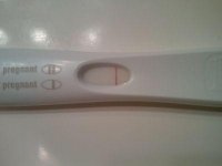 FRER 12dpo.jpg FRER 12dpo.jpg