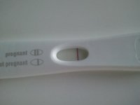 FRER 13dpo.jpg FRER 13dpo.jpg