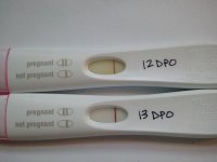 12 13 dpo (1024x768).jpg