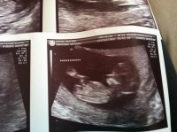 photo (8).jpg