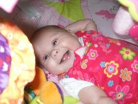 poppy new 098.jpg