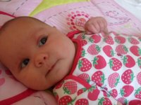 poppy new 010.jpg