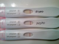 14dpo PM _opt.jpg