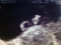 photo (2).jpg
