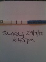 sunday3.jpg