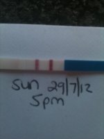 sunday2.jpg