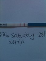 saturday1.jpg