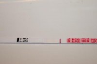 10dpo 8pm untweaked 2.jpg