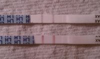 CD22.JPG