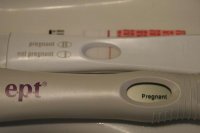 11dpo 6pm.jpg