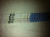 andi4opk.jpg