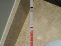 hcg 9dp3dt.jpg