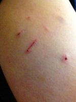 scratches 3.JPG